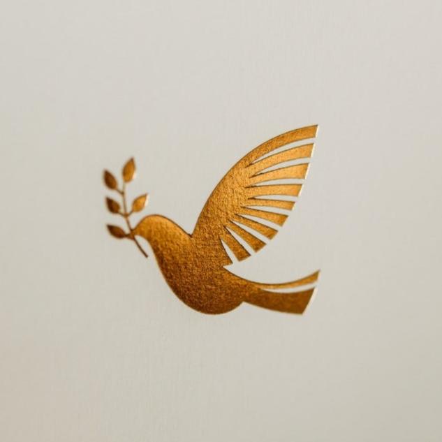 Handwritten Luxury Cards - JoJo Co.