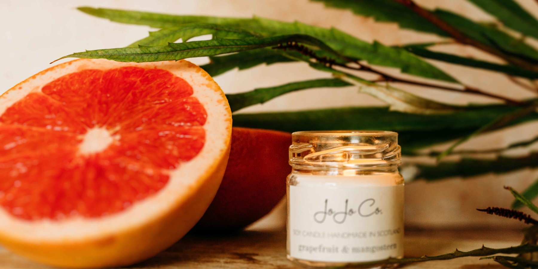 Grapefruit & Mangosteen - JoJo Co.